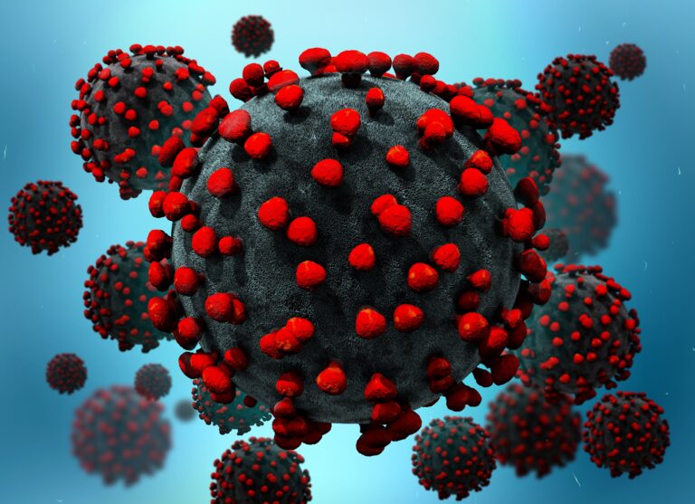 Difference Between COVID-19 IgG antibody and COVID-19 Diagnostic Test, www.mend.zone