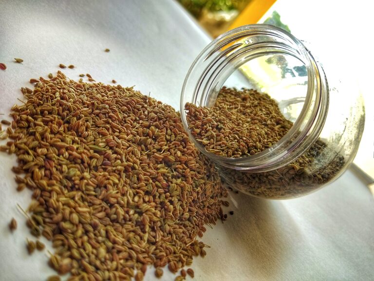 Carom Seeds: Health Benefits, Nutrition Facts, and Potential Side Effects Carom Seeds Health Benefits, Nutrition Facts, and Potential Side Effects by mend.zone