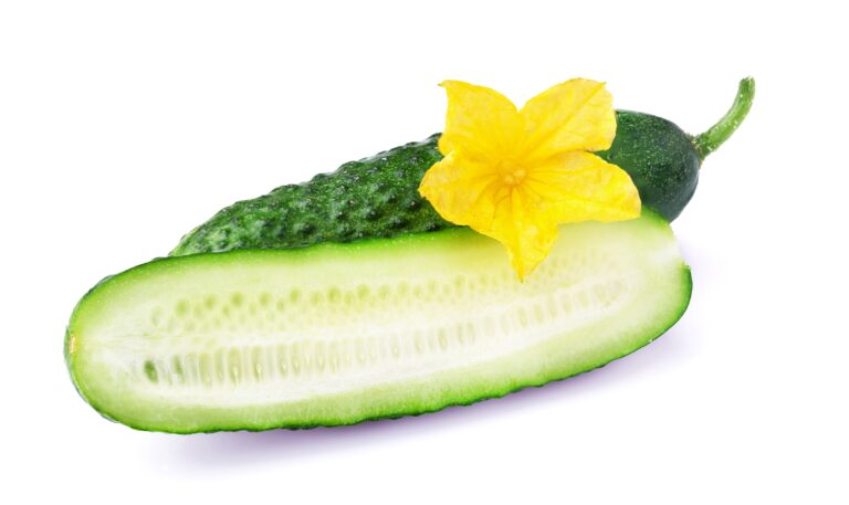 Cucumbers – health benefits: Purpose, Preparation, Health Benefits, and FAQs Cucumbers - health benefits Purpose, Preparation, Health Benefits, and FAQs