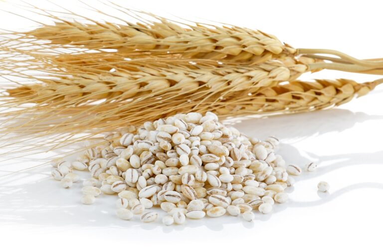 Barley: Health Benefits, Nutritional Value, and Potential Side Effects Barley Health Benefits, Nutritional Value, and Potential Side Effects, mend.zone