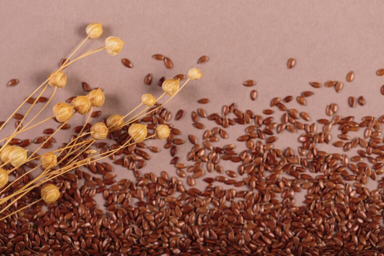 Flaxseeds: Tiny Seeds, Mighty Health Benefits Flaxseeds Tiny Seeds, Mighty Health Benefits