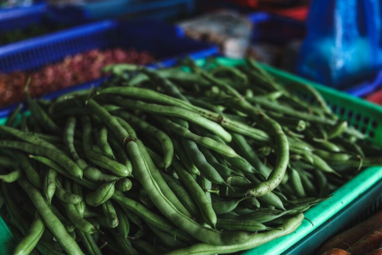 Green Beans (Hari Phali): Health Benefits, Nutritional Value, and Potential Side Effects Green Beans (Hari Phali) Health Benefits, Nutritional Value, and Potential Side Effects