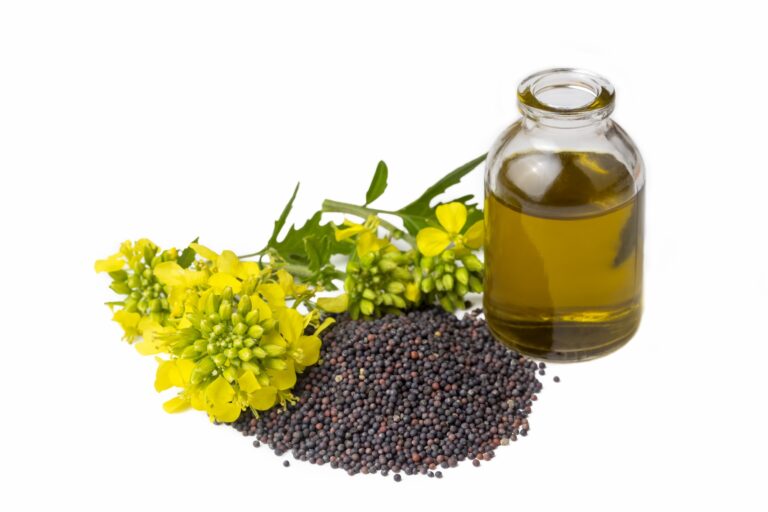Health Benefits of Mustard Oil: Uses And Its Potential Side Effects Health Benefits of Mustard Oil Uses And Its Potential Side Effects