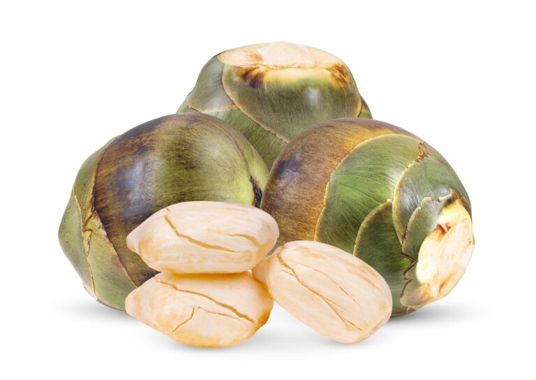 Palmyra Fruit (Doub Palm Fruit): Health Benefits, Uses, and Potential Side Effects Palmyra Fruit (Doub Palm Fruit) Health Benefits, Uses, and Potential Side Effects, mend.zone