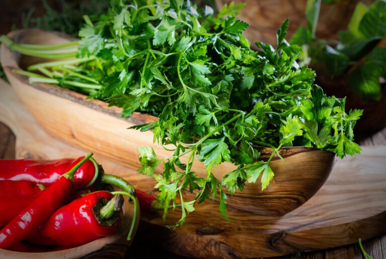 Parsley: Benefits, Uses, and Potential Side Effects Parsley Benefits, Uses, and Potential Side Effects