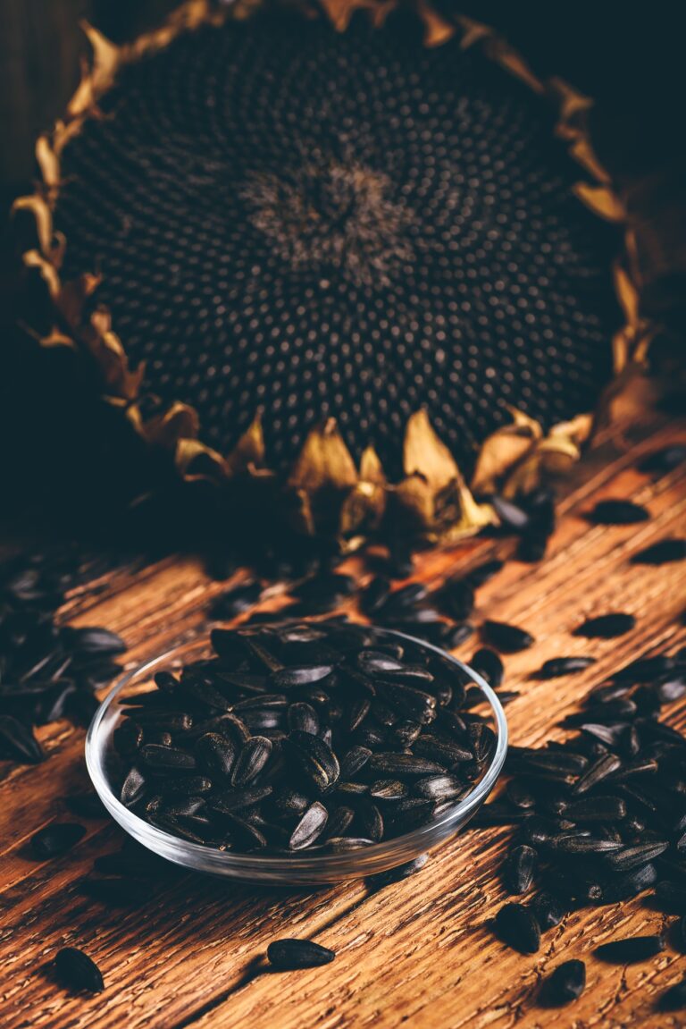 Sunflower Seeds: Tiny Treasures of Nutrition for a Healthier You Sunflower Seeds Tiny Treasures of Nutrition for a Healthier You